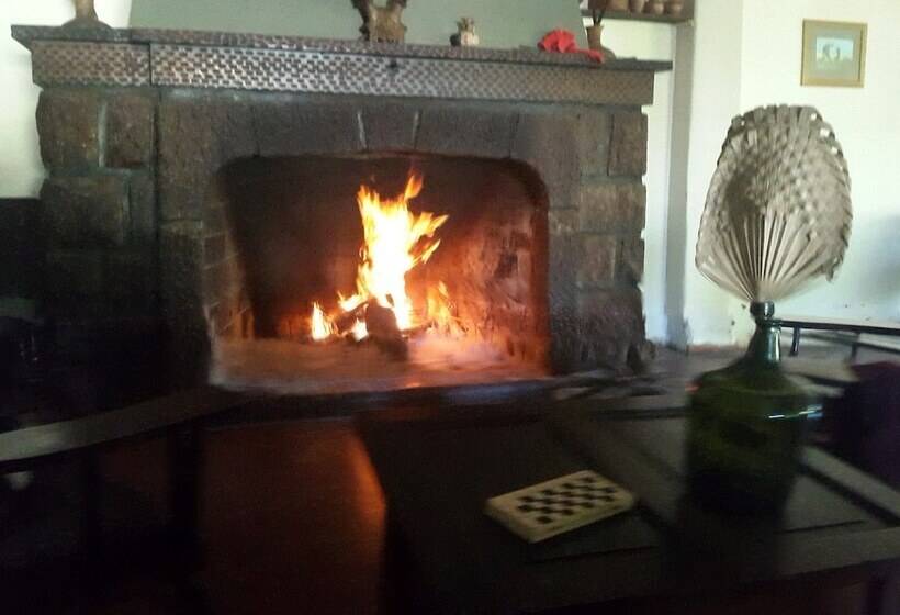 ホテル San Carlos