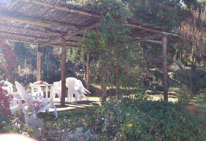 ホテル San Carlos