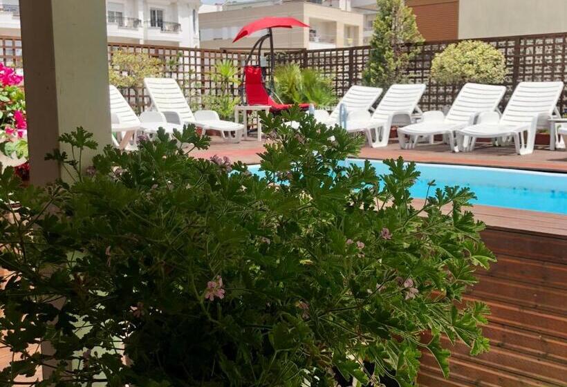 Sunrise Hotel Cameria