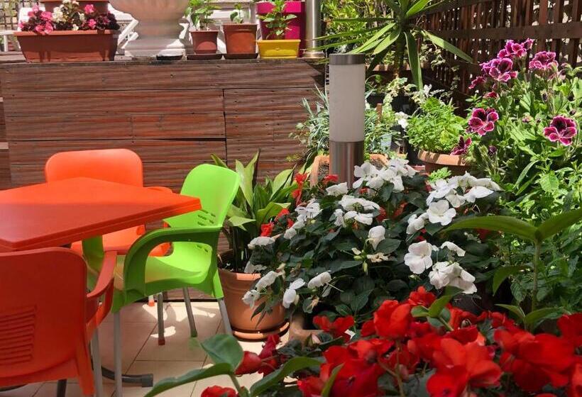 Sunrise Hotel Cameria