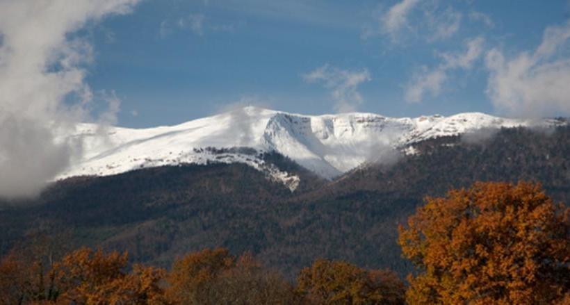 Les Suites De Genève  Hotel De L Allondon
