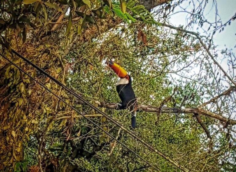 Курорт Cabañas Solar Del Paso