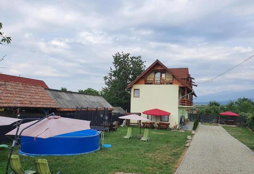 Pensiunea Leia Transfăgărășan