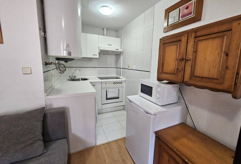 Apartamentos Confort Formigal 3000