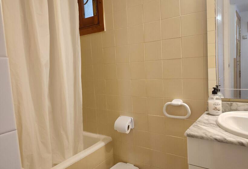 Apartamentos Confort Formigal 3000