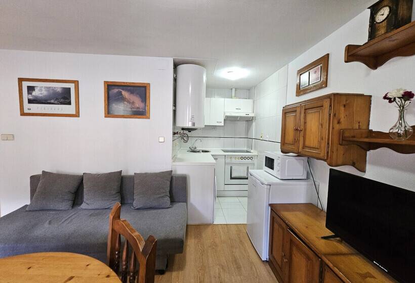 Apartamentos Confort Formigal 3000