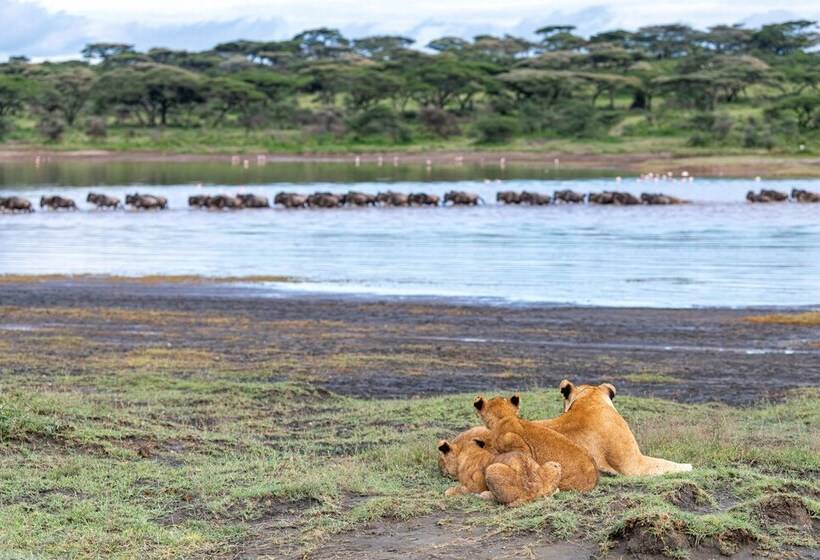 فندق Africa Safari South Serengeti