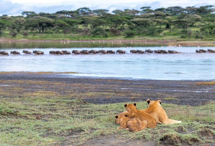 فندق Africa Safari South Serengeti