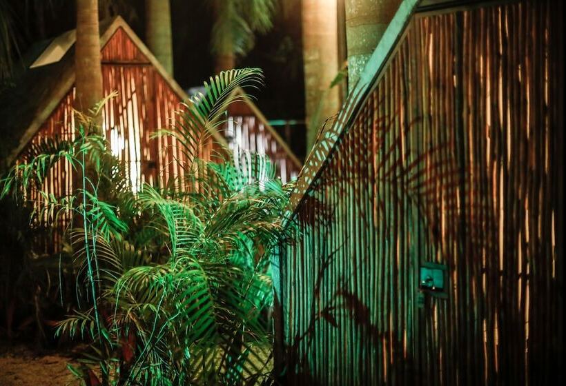 בית מלון כפרי Aldea Elvira