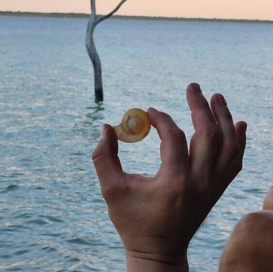 בית מלון כפרי Aldea Elvira