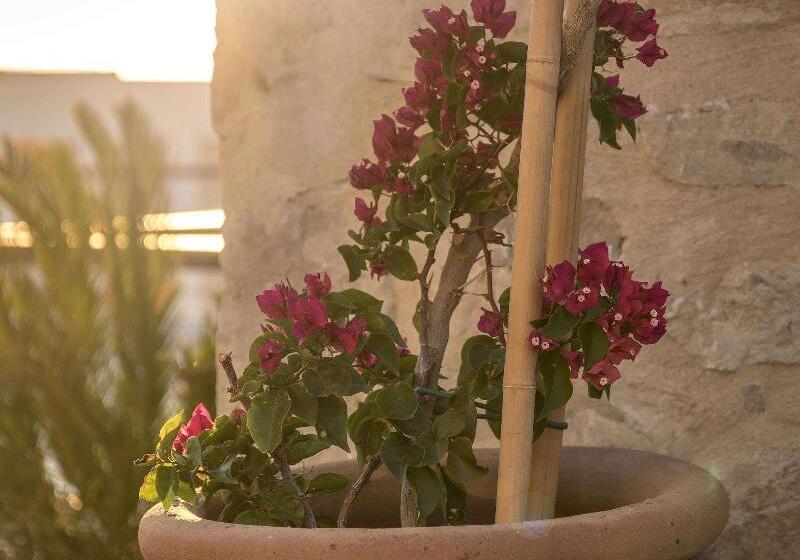 בית מלון כפרי Allium Bodrum Resort & Spa