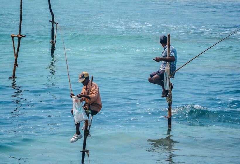 호텔 Mosvold Villa