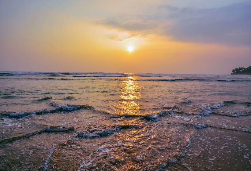 호텔 Mosvold Villa