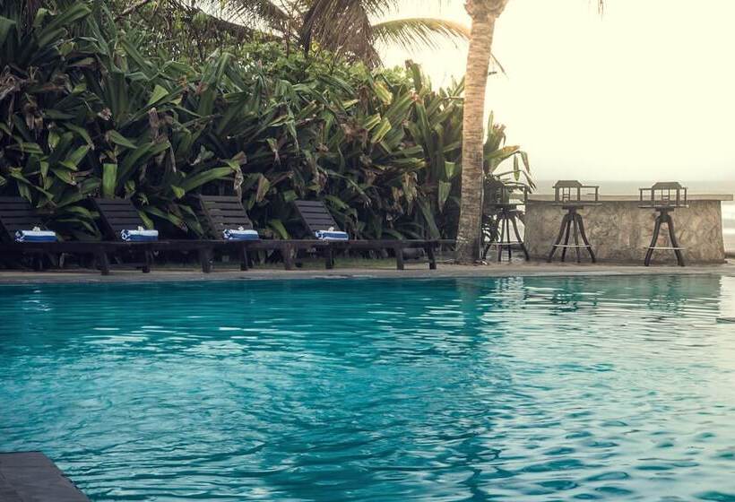 호텔 Mosvold Villa