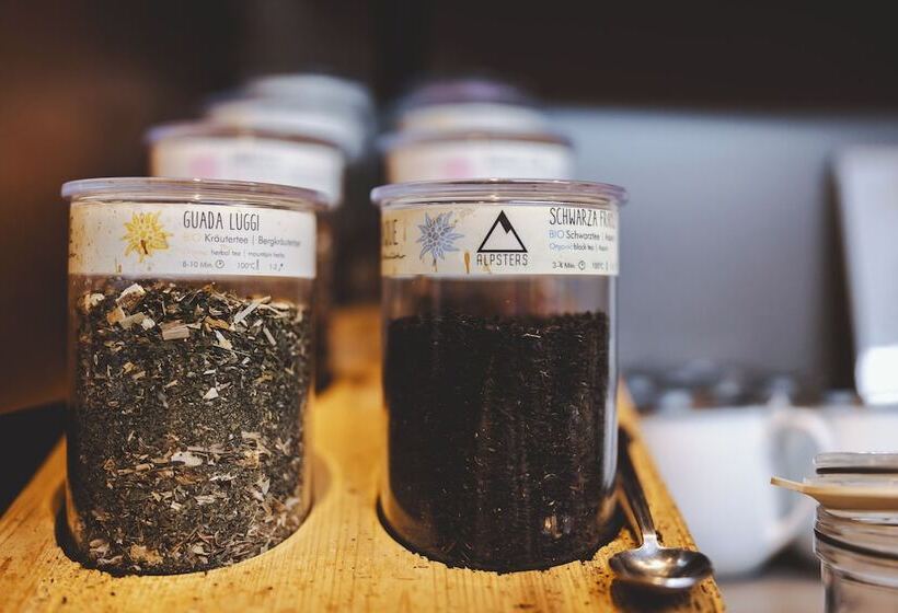 酒店 Nikolaus By Avenida Zell Am See