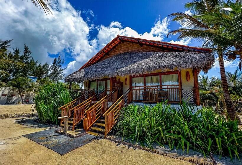 호텔 Pousada Luna   D3 Experience