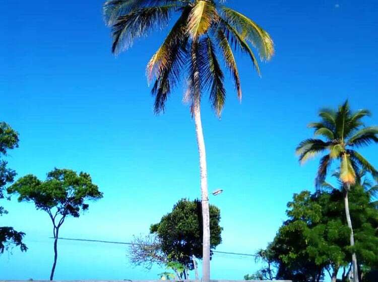 بنسيون Zan Oceans Resort