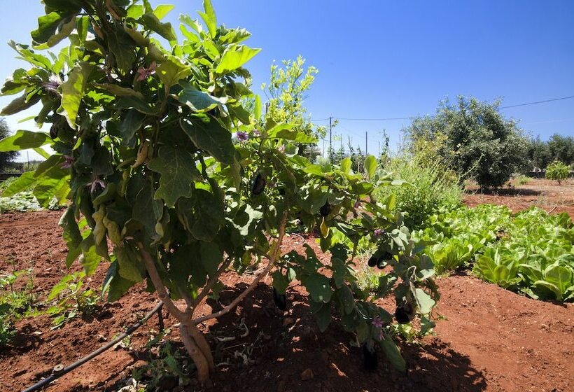 Skamagkas M. Apartments