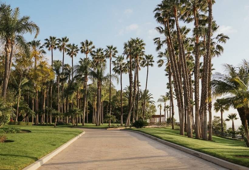 مبيت وإفطار Mesa Bella