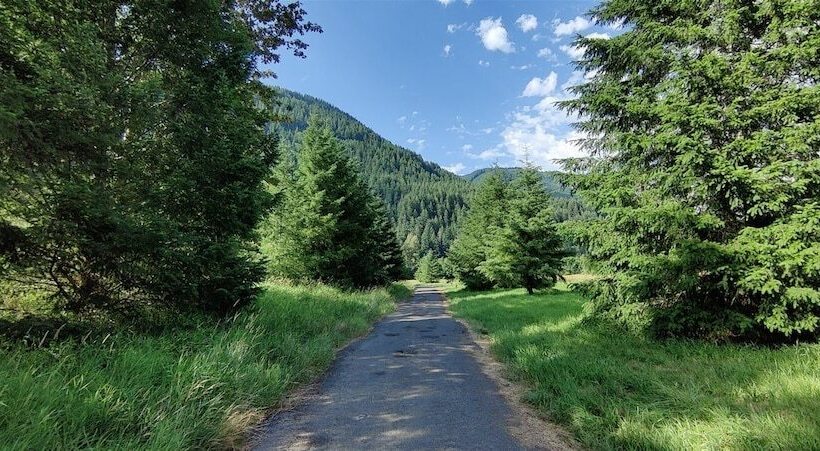 Elk Meadow