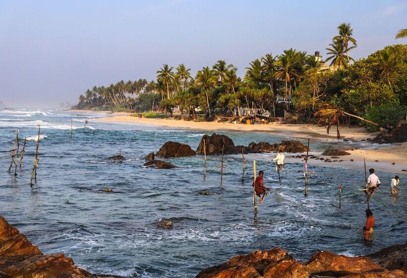 Отель Naomi Beach Resort