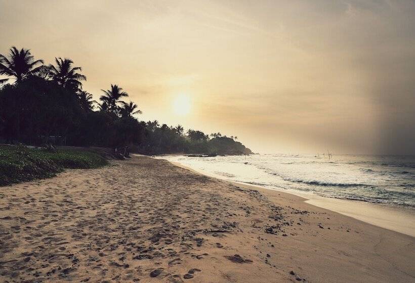 Отель Naomi Beach Resort