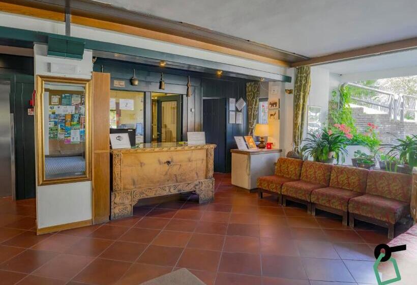 Hotiday Apartment Collection   San Martino