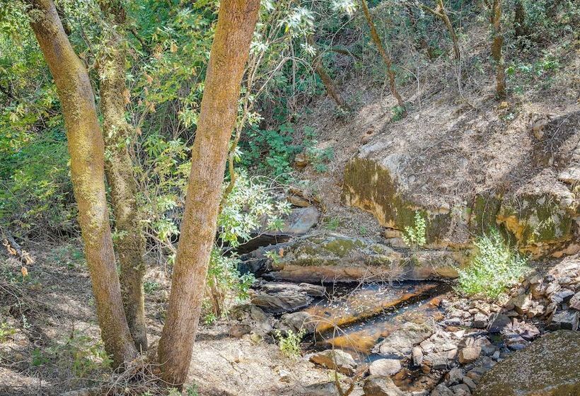 Meadow Vista Mountain Escape W/ River Views!