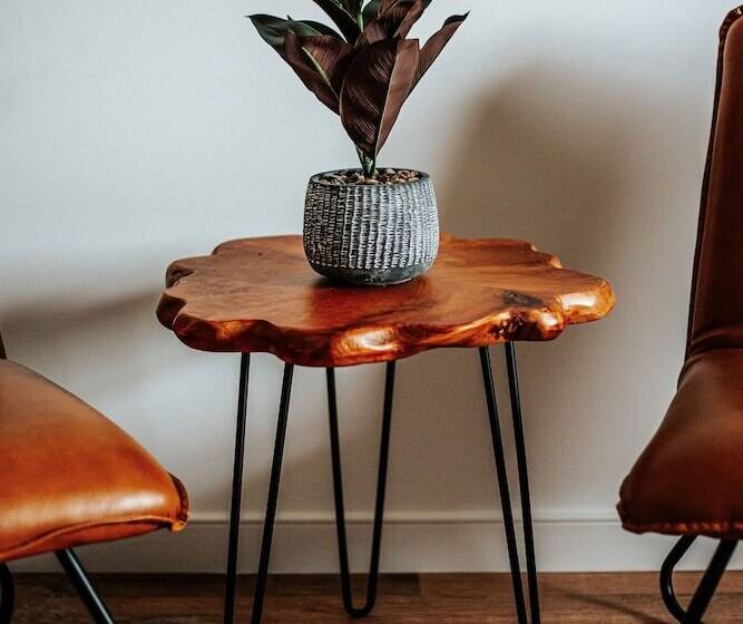 モーテル Grey Pine Lodge