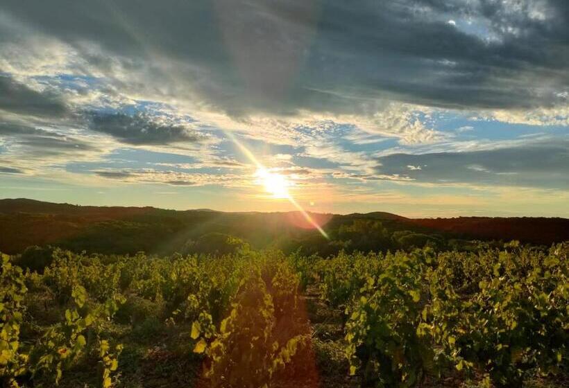 بنسيون La Galante