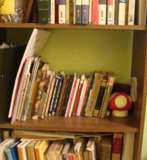 ユースホステル Intiaconcagua Habitaciones Familiares