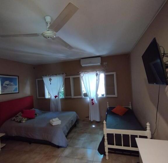 هاستل La Morada Hostal