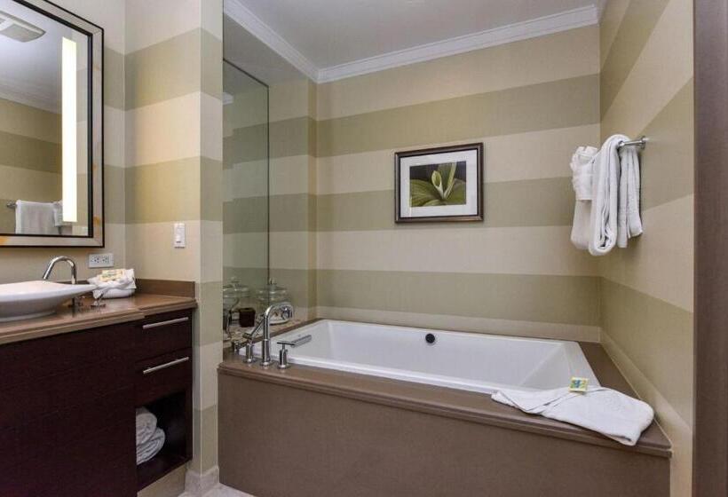 Beach Residences On Siesta Aka The Hyatt