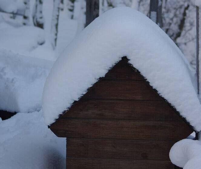 Familia Piatti B&b Suites