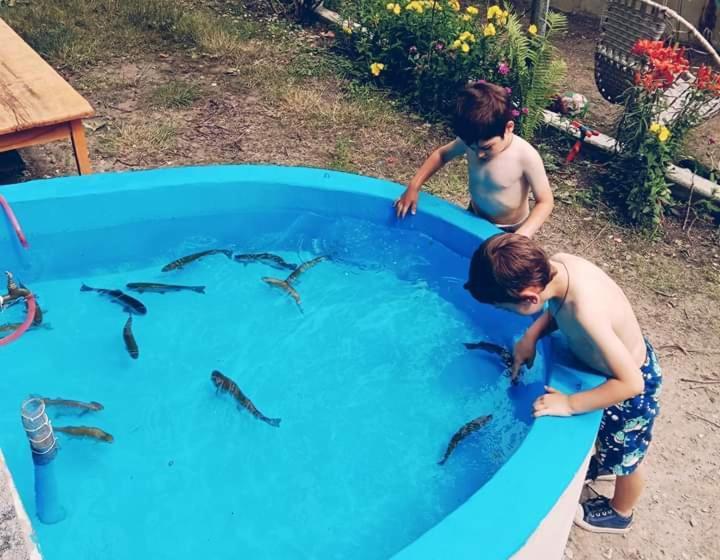 تختخواب و صبحانه Guest House Khatuna