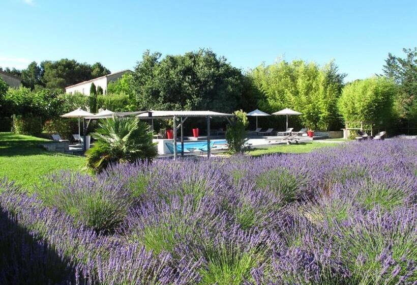 צימר La Cour Des Sens