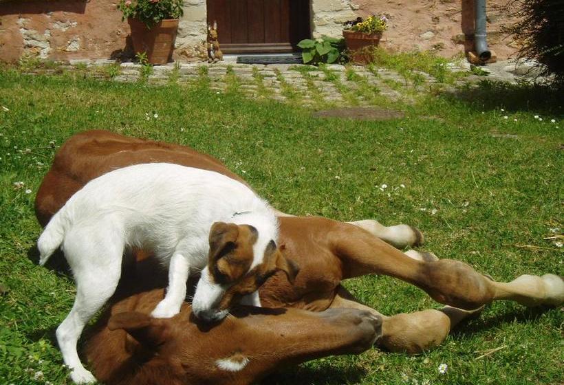 민박 La Ferme Rose