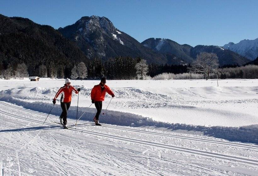 Bed and Breakfast Mammhofer Suite & Breakfast