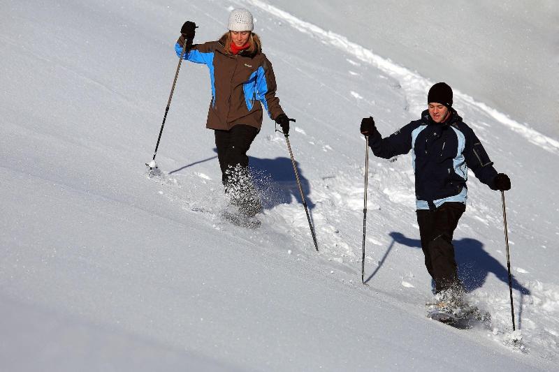 Bed and Breakfast Mammhofer Suite & Breakfast