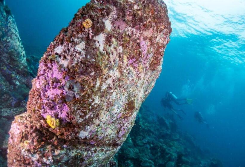 Forra Dive Resort Pattaya Beach