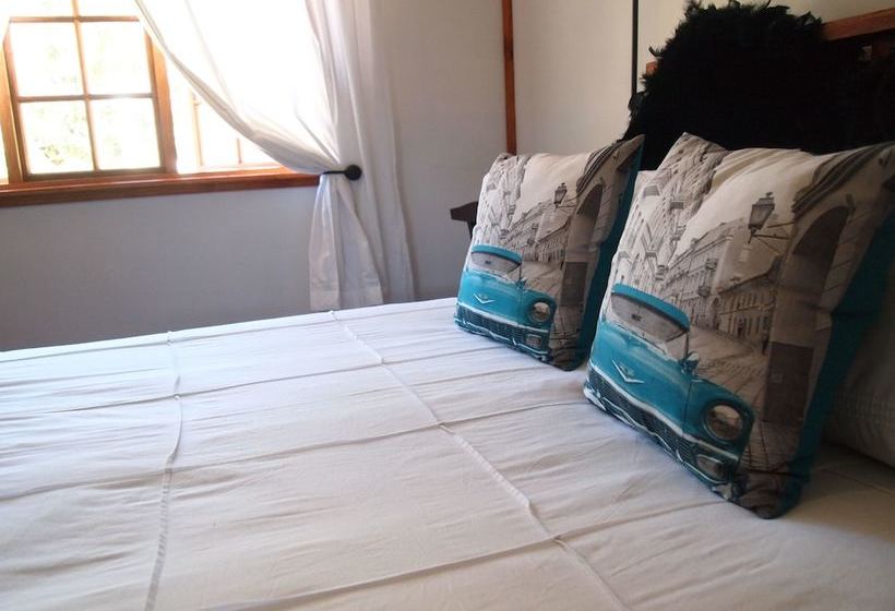 Havana Nights Graskop