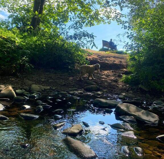 Red Lion, Coorie Inn