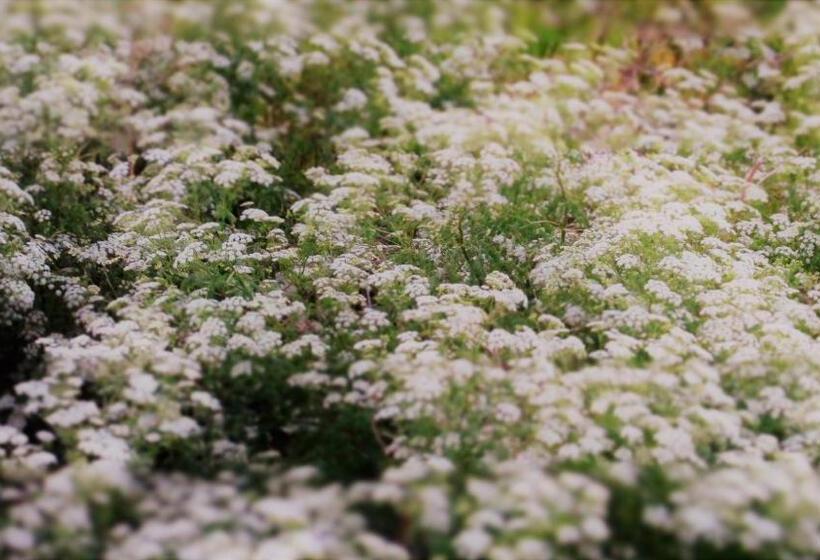 Hostel Aves Del Lago