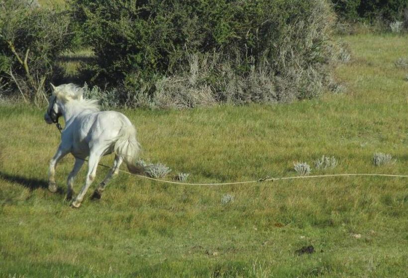 Hostel Aves Del Lago