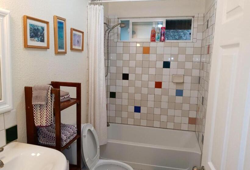 ホテル Aloha Crater Lodge