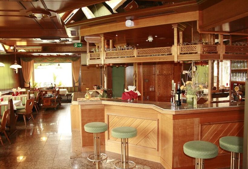 ホテル Berghof Mitterberg