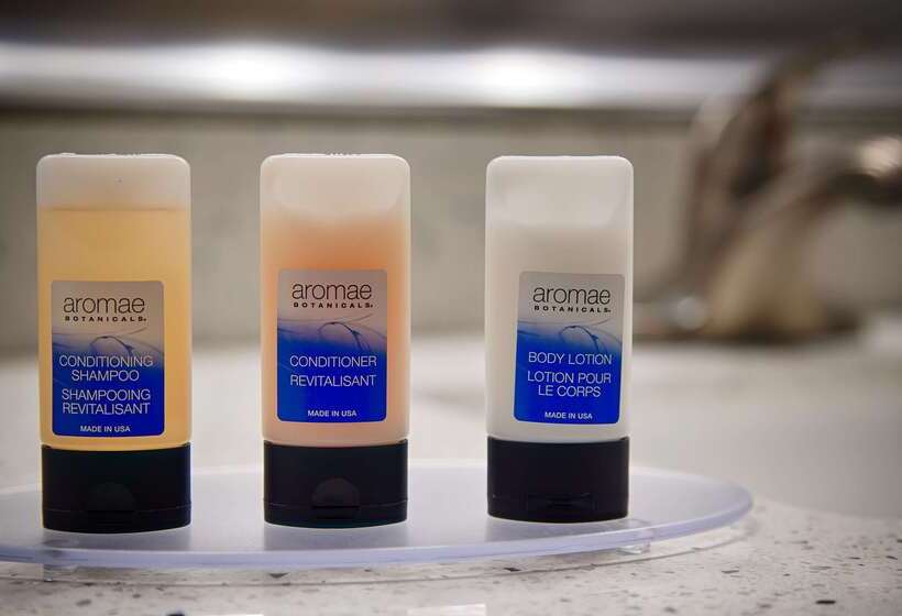 호텔 Best Western Plus Lonestar Inn & Suites