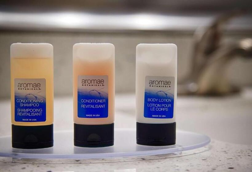 호텔 Best Western Plus Lonestar Inn & Suites