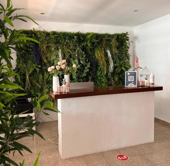 Отель Bhc Boutique Hostal Cala Millor