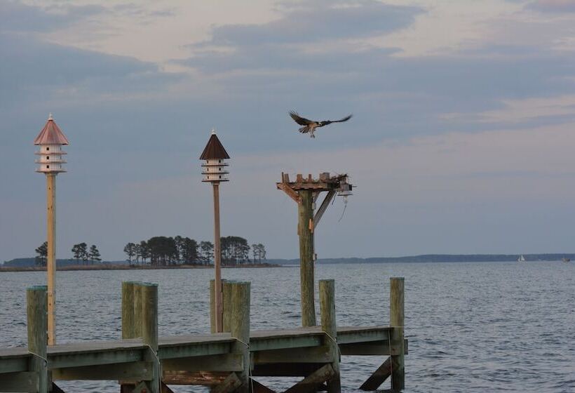 ホテル Black Walnut Point Inn